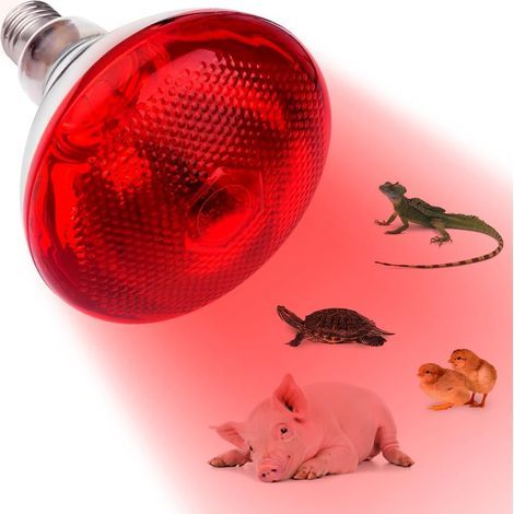 Wärmelampe, 250 W, Quarzglas, E27-Fassung, für Reptilien und Geflügel (1/5)