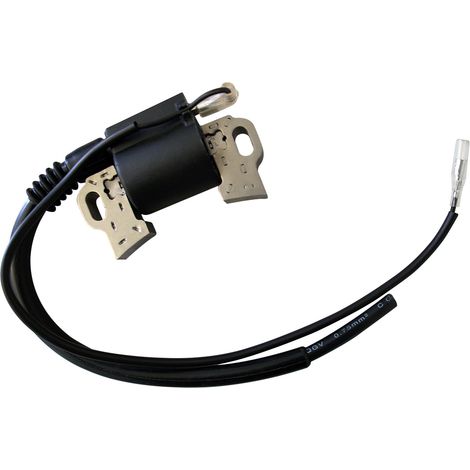 LIFAN Ersatzteil für 9-15 PS Benzinmotor Zündspule mit Zündkabel und Stecker, leistungsstarker 4-Takt Motor, Benzin Motor luftgekühlt E10 kompatibel (1/3)