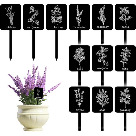 CCYKXA 24 Acrylic Plant Labels, 12 Styles, Garden Herb Markers, Plant Supports, Waterproof Black Greenhouse Labels (1/5)