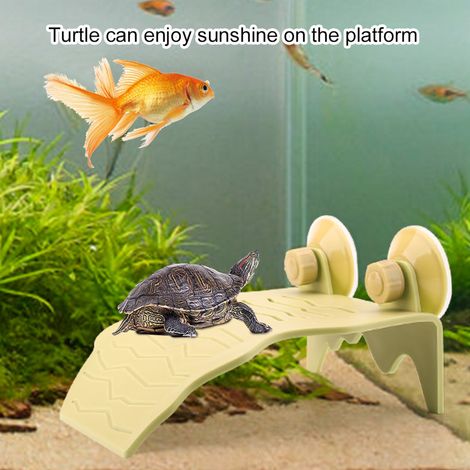 Plateforme flottante d'escalade pour tortue en plastique (Jaune, L) (1/5)