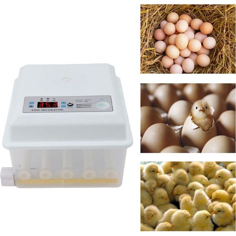 Incubateur automatique pour poussins, incubateur intelligent à température constante, incubateur à température constante pour canards et oies, norme européenne 100-240 V (1/5)