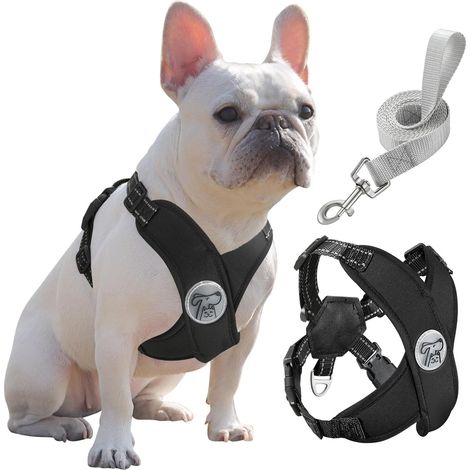 Harnais pour Chiens avec Laisse, Harnais Sécurisé Anti-Traction (1/5)