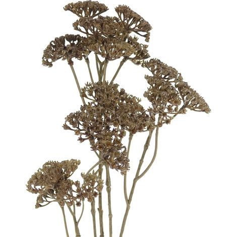 GASPER Schafgarbe - Achillea Braun 73 cm - Kunstblumen