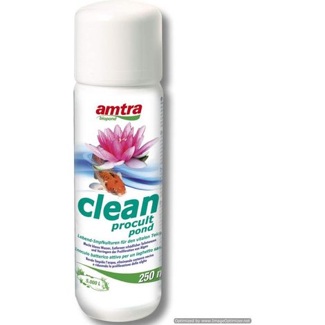 Set 6 pezzi Amtra Clean Procult Pond 250 ml batteri vivi per la rapida attivazione dei filtri da laghetto