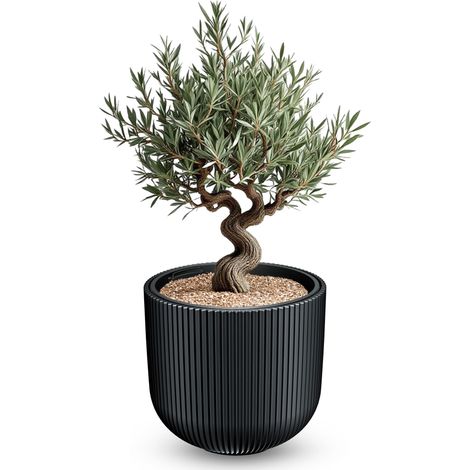 XXL Blumentopf rund 47 x 38 cm aus Kunststoff in anthrazit mit entnehmbarem Pflanzeinsatz – wetterfest UV-beständig frostsicher