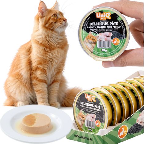 Comida húmeda para gatos con sabor a conejo y bizcocho, paté delicioso UniQ Pets 8x30g