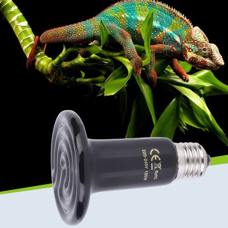 Lampe chauffante infrarouge en céramique E27 pour reptiles et animaux, 220-240 V, 100 W (1/5)