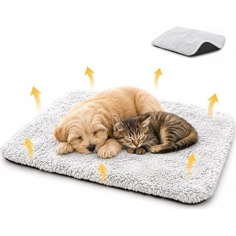 Heated Cat and Dog Cushion 40 x 50 cm Car Mat (1/5)