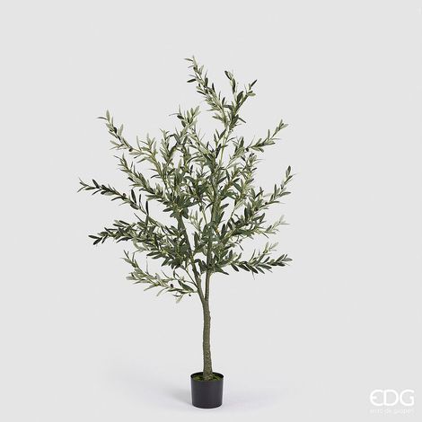 EDG Enzo De Gasperi Olivo con Vaso H 190 Cm Pianta Artificiale Verde