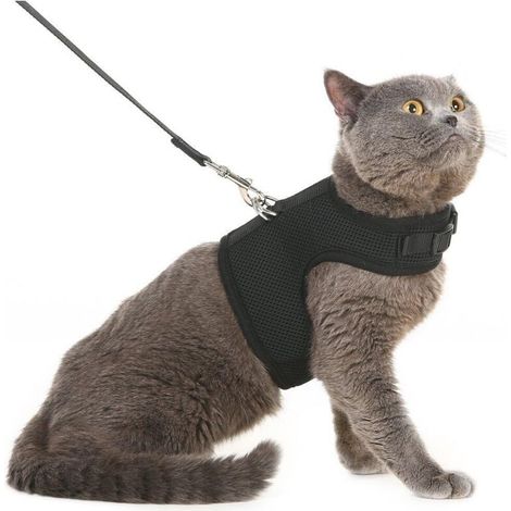 Katzenweste aus weichem Netzgewebe, Geschirr und Leine im Set, dickes Geschirr für Welpen, kleine Hunde und Kaninchen, Schwarz, Größe M.