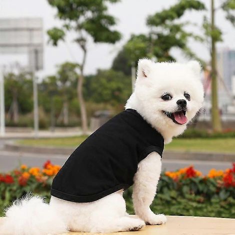 Ropa de verano para mascotas, para perros pequeños y medianos, camiseta de algodón lisa, accesorios para perros, artículos para mascotas, chaleco para gatos, camisetas negras (1/5)