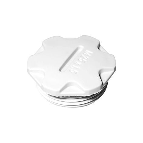 Vis de fermeture M 25 polyamide gris