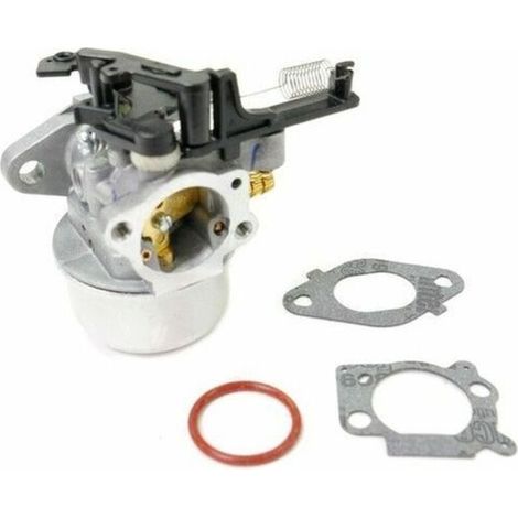 Carburateur moteur Briggs & Stratton 591137 (1/4)