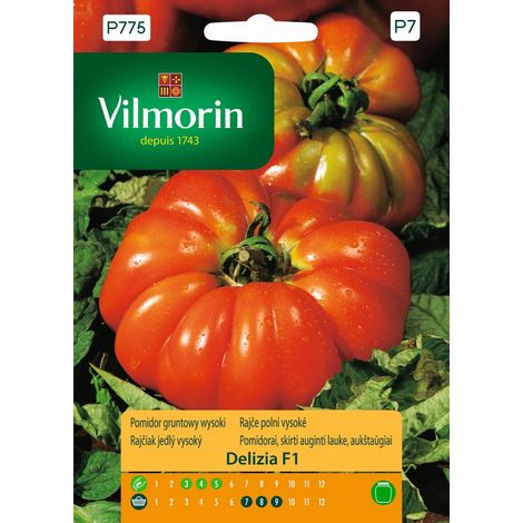 Pomodori, alti, coltivati in campo, delizja F1, 0,1 g, semi, Vilmorin