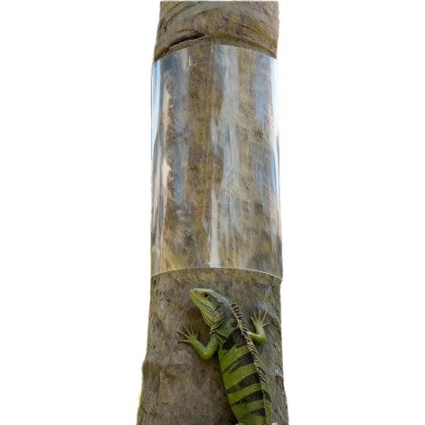 Nouveau manchon de protection anti-grimpe pour tronc d'arbre, barrière physique contre iguanes écureuils et animaux nuisibles (1/5)