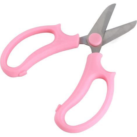 Ciseaux de Jardinage et de Floriculture à Large Bec - 10 Pièces, Acier Inoxydable Tranchant pour Tailler les Branches et Couper les Fleurs, Rose - KZQ (1/5)