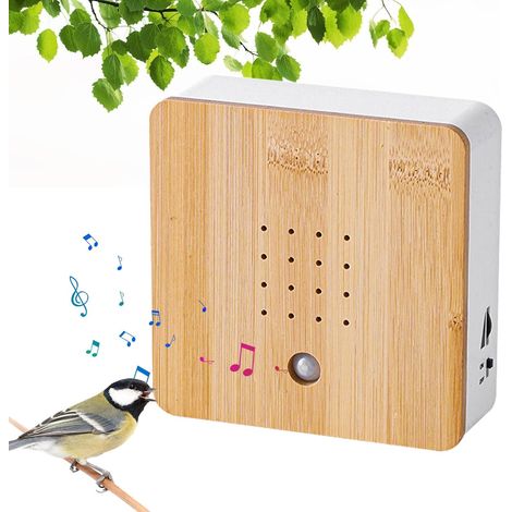 Bewegungsaktivierte Klangbox „Vogelgezwitscher“: Natürliche Klangbox mit Bewegungsmelder, Vogelgezwitscher zur Wandmontage, natürliche Klangbox