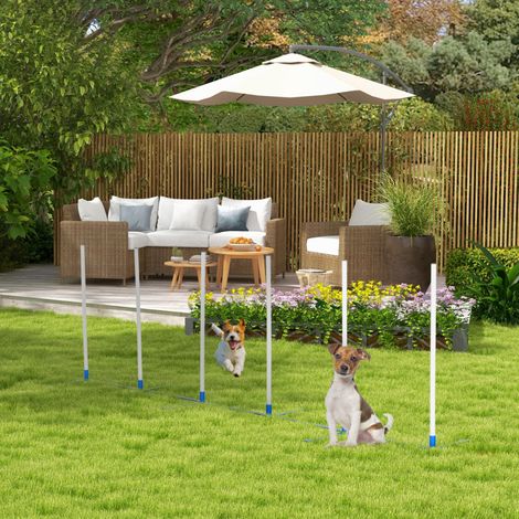 OKWISH Agility-Slalomset für Hunde mit 600D-Tasche, 305 x 60 x 94 cm, Weiß/Blau (1/5)