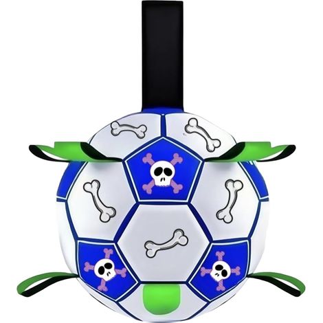 Ballon De Foot pour Chien - Ballon De Football Interactive pour Le (1/5)