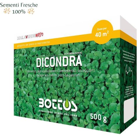 BOTTOS - DICONDRA / 500 g - Sementi per prato Macroterme