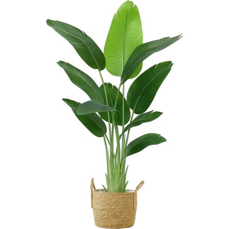 Trintion Künstlicher Baum im Topf Realistische Seidenpflanze, Tropische Dekopflanze für Wohnzimmer, Schlafzimmer, Büro & Indoor Garten, pflegeleicht, robust & verstellbar (M) (1/5)