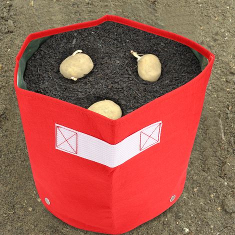 Neuer, farbenfroher Pflanzsack aus Filz (7 Gallonen, rot)