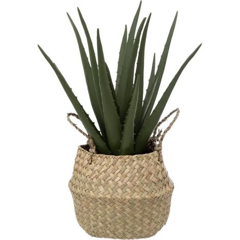 Plante Artificielle & Pot "Aloe Vera" 37cm Vert