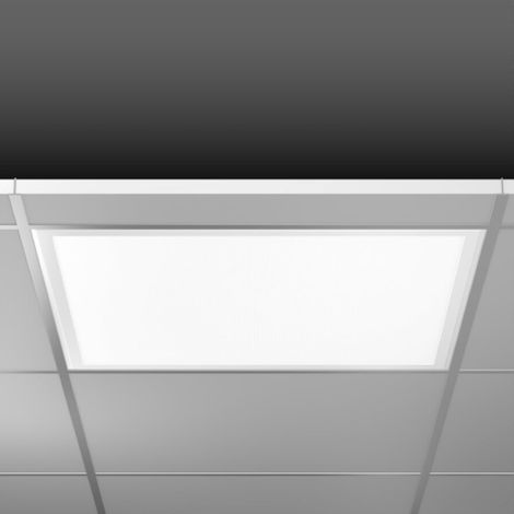 RZB LED-Panel M625 830 DALI weiß