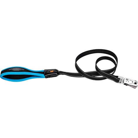 Laisse pour chien ERGOFLUO MATIC, Laisse pour petit chien, Mousqueton avec Mécanisme Magnétique, Poignée rembourrée, Nylon. Taille 120 cm, Bleu (1/5)