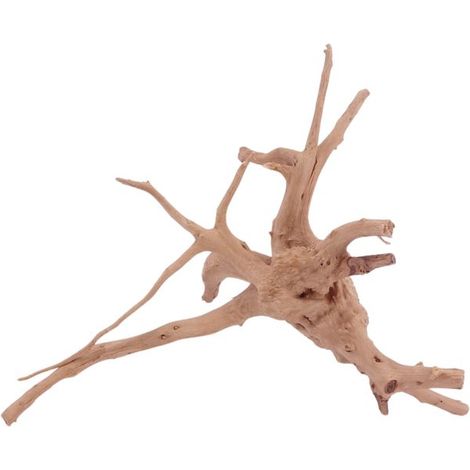 M Moorkienwurzel Nr.4421 Holz Deko Aquascaping