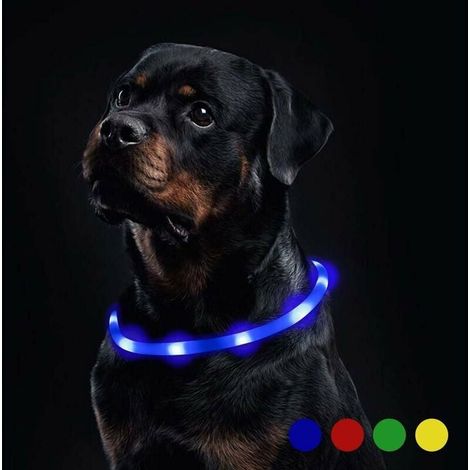 Collar de silicona para perros con luces LED, color azul. (1/4)