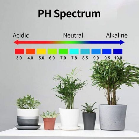 Testeur humidité sol 4 en 1 - numérique pH/température/soleil/humidité, écran LCD rétroéclairé - testeur Étiquette (1/4)