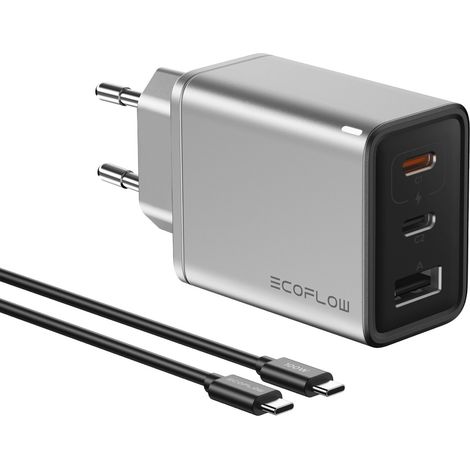 EcoFlow RAPID 65 W Universale Argento AC Ricarica rapida Interno