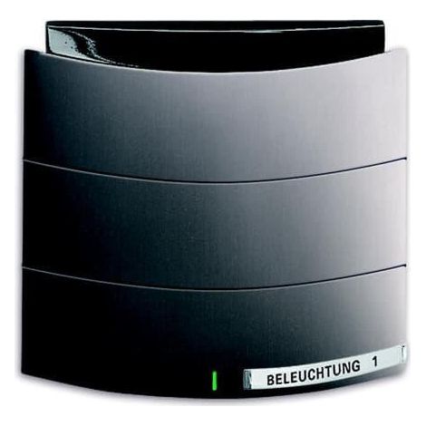Triton 1 Touche Mf Bcu Et Ir Intégrés Platine 2CKA006320A0002 ABB 587487