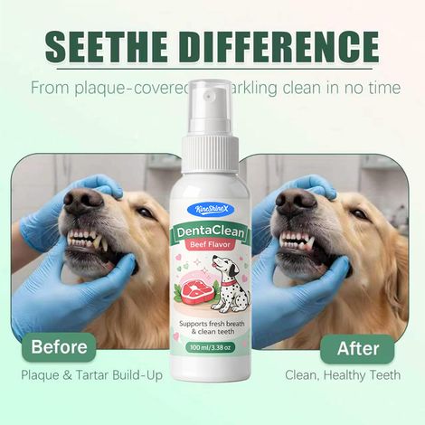 KineShineX Dentalspray – Fortschrittliche Mundpflege für Haustiere – Zahnstein- und Plaqueentferner