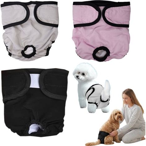 Couches pour chien lot de 3 - culottes hygiéniques lavables taille M pour femelles, multicolore (1/5)