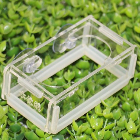 Distributeur de nourriture pour poissons en acrylique pour aquarium avec ventouse, installation facile (1/5)