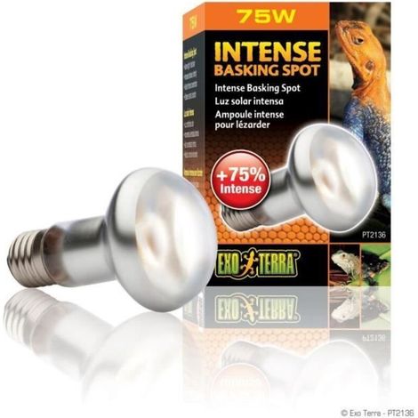 Exo lampe intense a vis 75w (1/5)