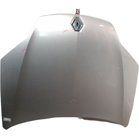 Capot RENAULT Laguna III 2007- [PRODUIT D'OCCASION]♻️651000021r (1/4)