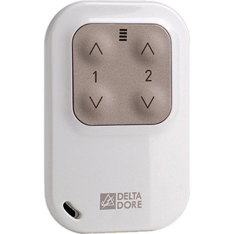Télécommande delta dore Tyxia 1400 blanche compacte 2 voies (1/6)
