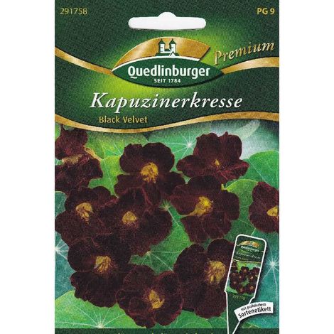 Quedlinburger Kapuzinerkresse Black Velvet - Blumensamen (1/2)