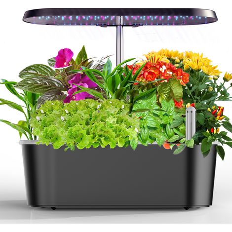 Hydrokultur Set für den Innenbereich, Kräutergarten mit LED Pflanzenlampe, höhenverstellbares Indoor-Gartensystem, erdlos und sauber – ideal für Kräuter, Salat, Erdbeeren (1/4)