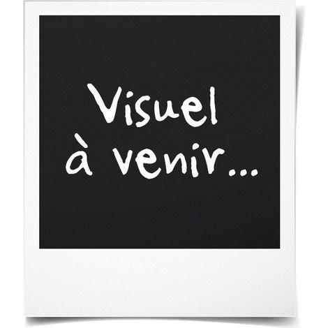 Les Tendances – Canapé d'angle convertible réversible 5 places – Coffre de rangement – Tissu 100% polyester – Structure en pin massif – L 289 x P 94/188 x H 88 cm (1/2)