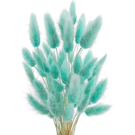 Herbe de la Pampa - Fleurs Séchées - 60 Pièces - Bleu - Décoration Intérieure Naturelle (1/5)