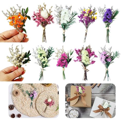 10Pièces Petit Bouquet Fleurs Séchées, Mini Bouquet Fleurs Séchées (1/5)