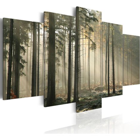 Tableau Imprimé "Lumière dans une Sombre Forêt" 50 x 100 cm (1/2)