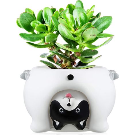 Pot de Fleurs d‘’Animal Mignon Pots de Fleurs de Dessin Animé Mini Pots de Plantes Succulentes Petit Pot de Plantes en Résine Mignon avec Trou de Vidange, 2,6 Pouces (Chien Blanc) (1/5)