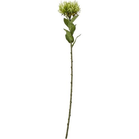 Protea Lorea (Single Stem Flower) - Plastic - Height 73 cm - Green