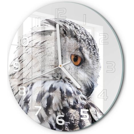 Horloge Murale Ronde en Verre Silencieuse Sans Tic-Tac Salon Cuisine Chambre Hibou blanc fi 30 cm (1/5)