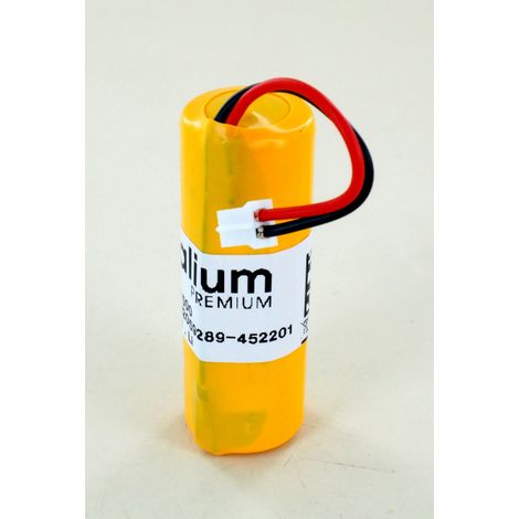 Delta Dore – Pile rechargeable 3.6V 3.6Ah Lithium – Accu compatible Tyxal+ pour détecteurs rideaux – Alimentation fiable et durable